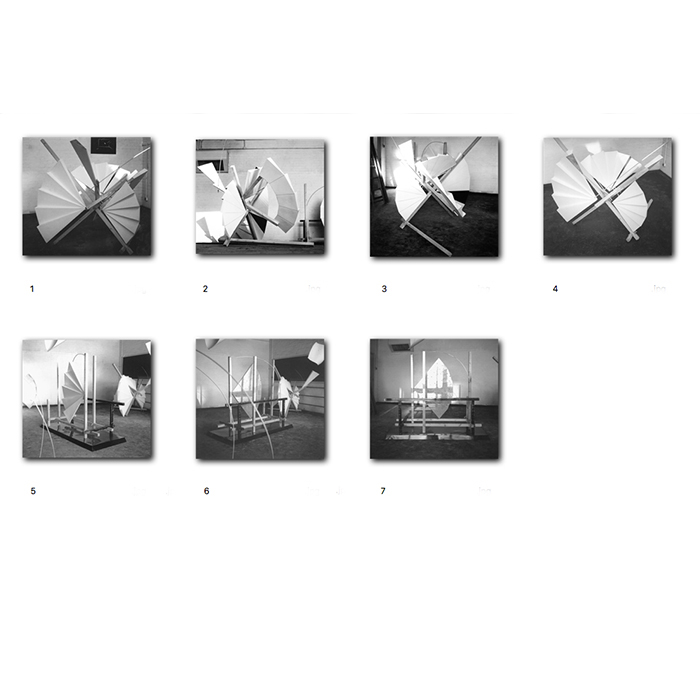 Samurai Butterfly and View Through