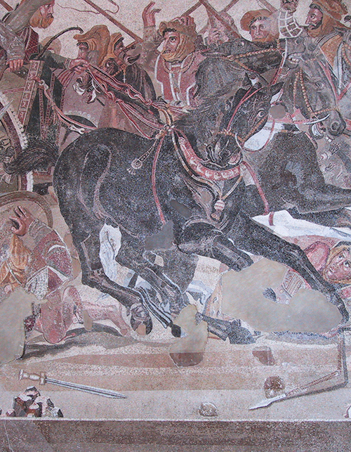 Alexander mosaic