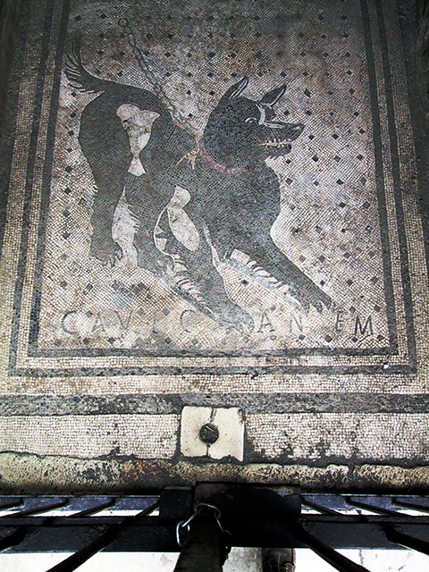 Cave canem